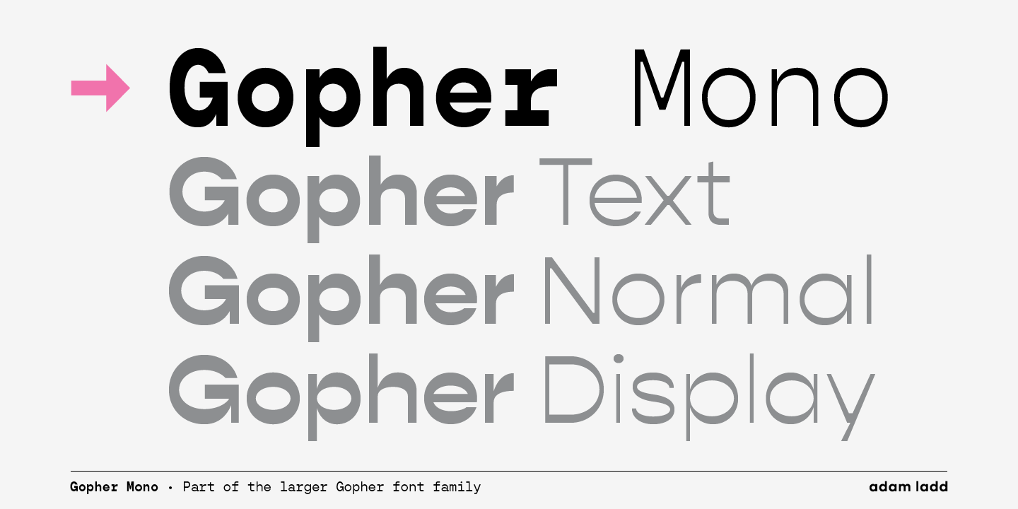 Пример шрифта Gopher Mono Italic